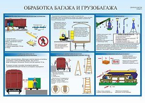 Плакат №5 Обработка багажа и грузобагажа (формат А2) (600х420; Бумага; )